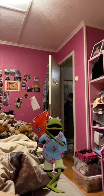 Preview for a Spotlight video that uses the Kermit The Frog Lens