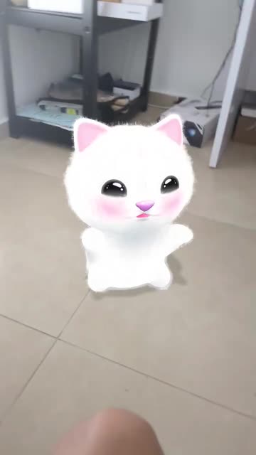 Preview for a Spotlight video that uses the Dancing Cat  Lens