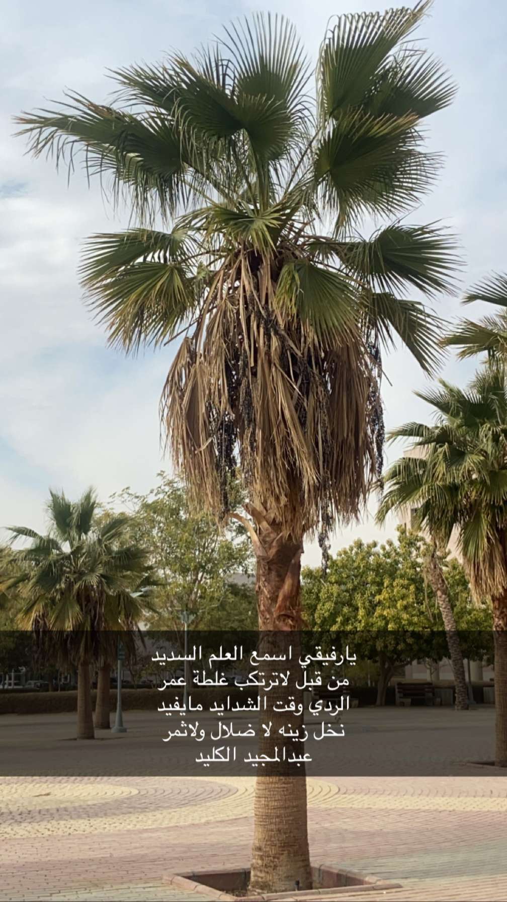 محتوى سناب شات لـ عبدالمجيد الكايد