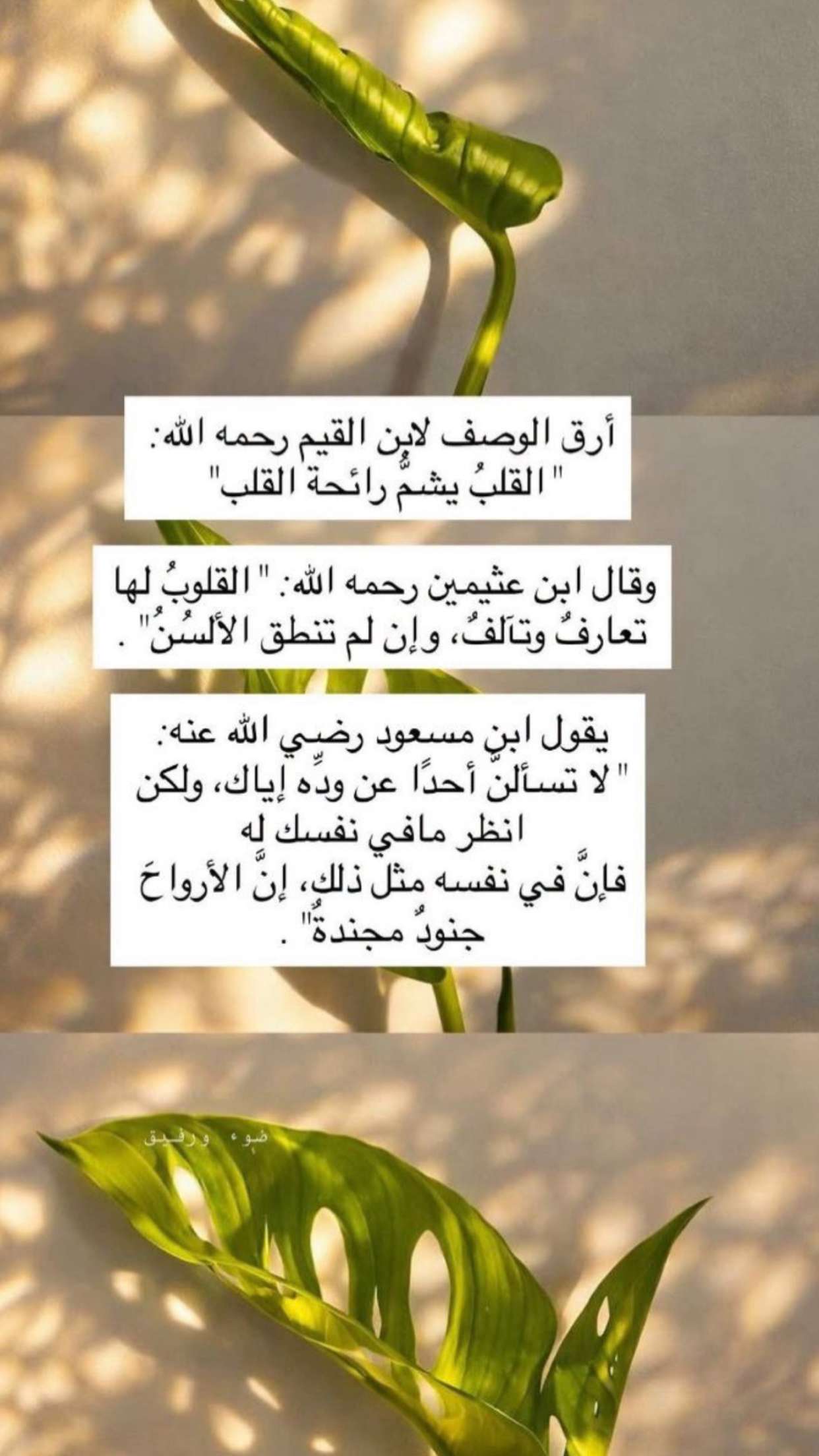 قصة سناب شات للحساب mahaawy_h رقم 51