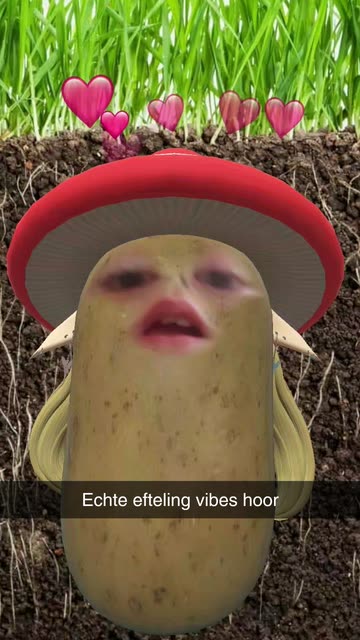 Preview for a Spotlight video that uses the POTATO MUSHROOMELF Lens