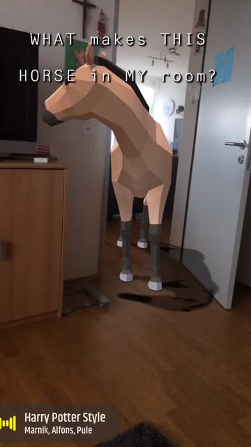 Preview for a Spotlight video that uses the Western Horse Lens
