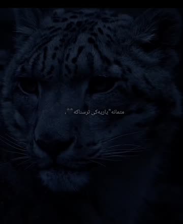 ﮼فەلـەک🕊️
