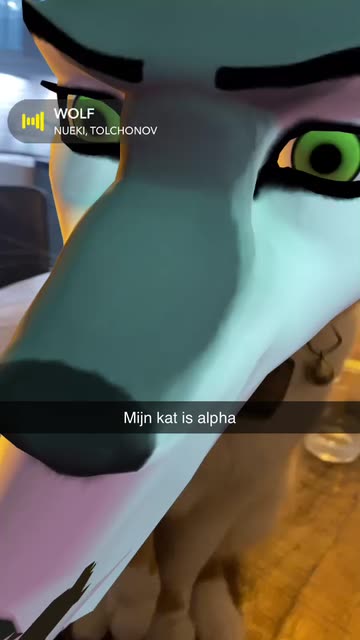 Preview for a Spotlight video that uses the Wolf Head 3d Lens