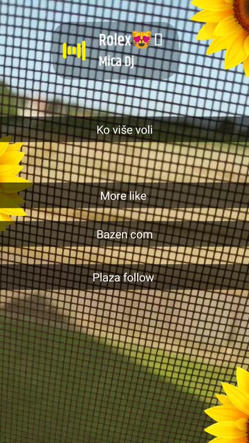Preview for a Spotlight video that uses the Sunflowers Lens