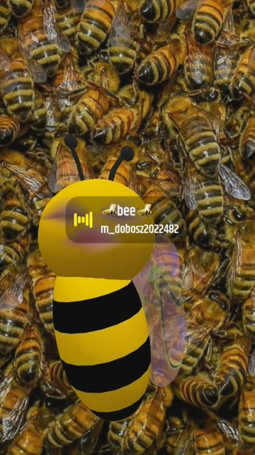 Preview for a Spotlight video that uses the cute bee Lens