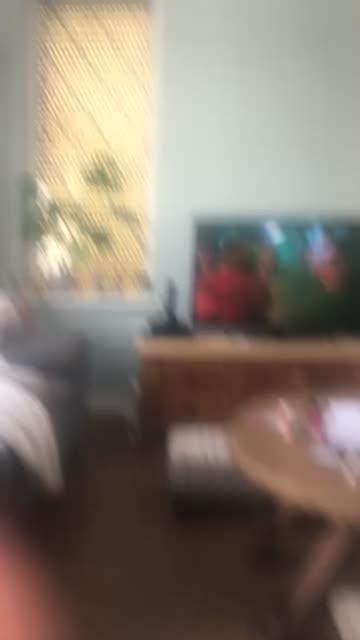 Preview for a Spotlight video that uses the Guess the Flag Lens