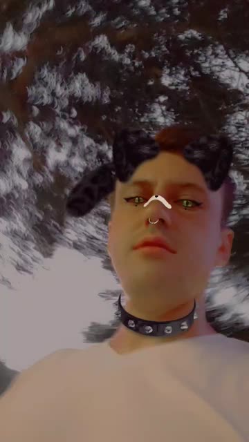 Preview for a Spotlight video that uses the Cool Cat Style 🐈‍⬛ Lens