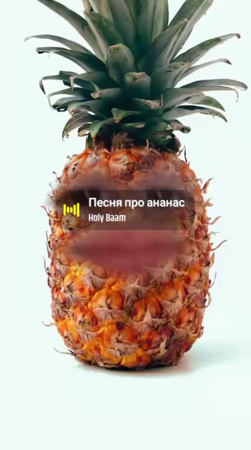 Preview for a Spotlight video that uses the PINEAPPLE Lens