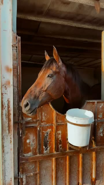 Preview for a Spotlight video that uses the maymoon coffee Lens