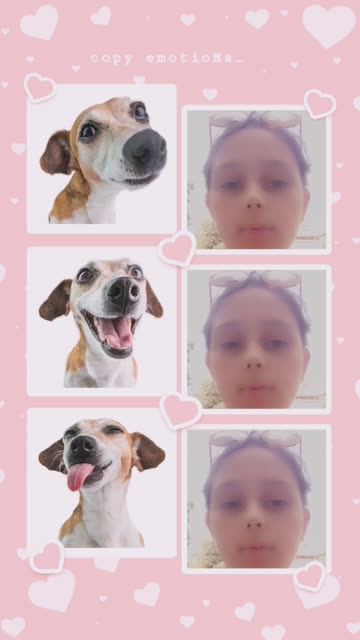 Preview for a Spotlight video that uses the Dog Emotions Lens