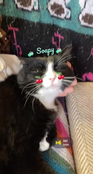 Preview for a Spotlight video that uses the Soapy Lens
