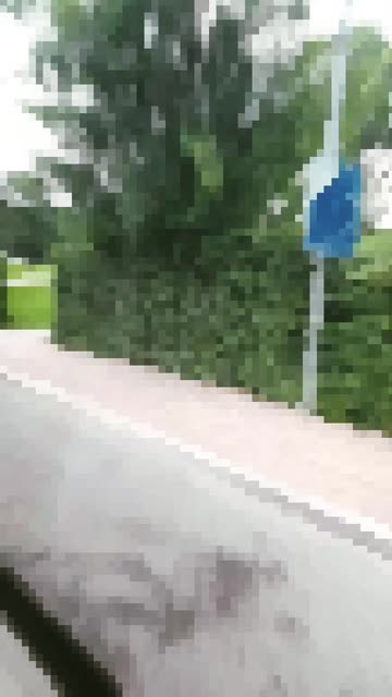 Preview for a Spotlight video that uses the pixels Lens