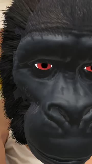 Preview for a Spotlight video that uses the gorilla Lens