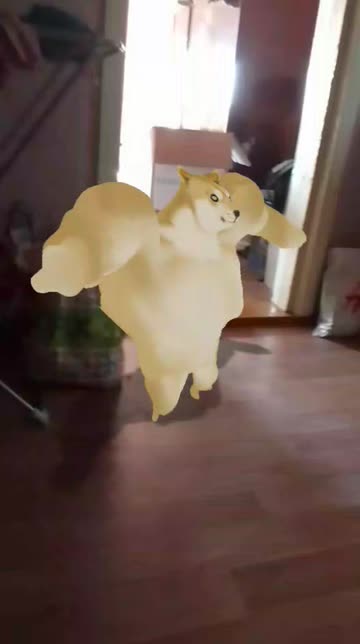 Preview for a Spotlight video that uses the Doge Dancing Lens