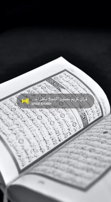 Preview for a Spotlight video that uses the Quran Streak Lens