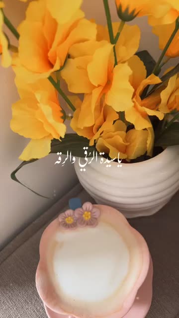 Preview for a Spotlight video that uses the 10 Ebarat Lens