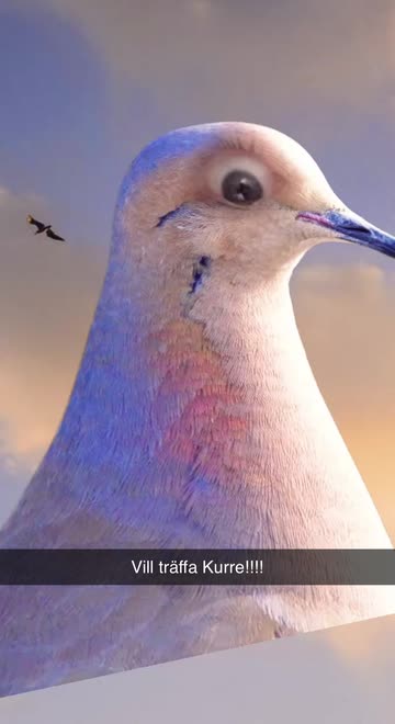 Preview for a Spotlight video that uses the Pretty Dove Face Lens