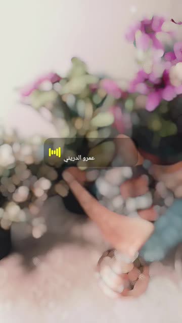 Preview for a Spotlight video that uses the Bokeh Lens