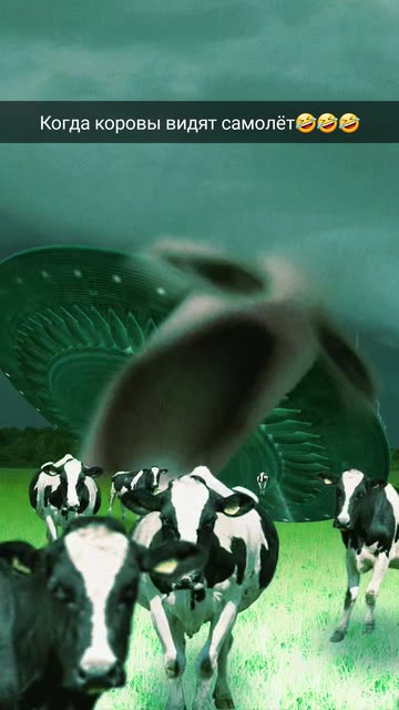 Preview for a Spotlight video that uses the Cows and Aliens Lens