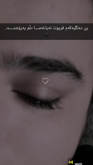 🤍