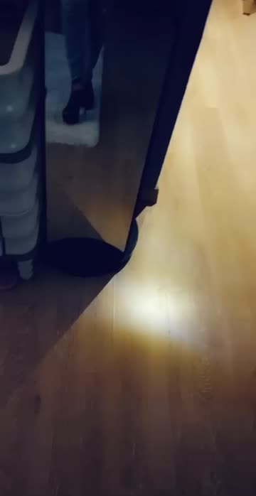 Preview for a Spotlight video that uses the Butterfly Mood Lens