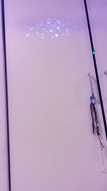 Preview for a Spotlight video that uses the Fingerspell Username Lens