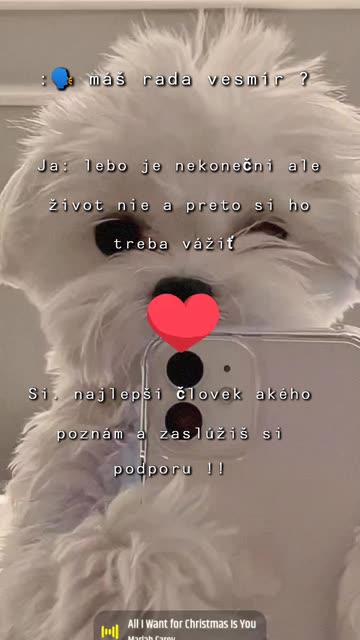 bruno diferente k9 vídeo｜Pesquisa do TikTok