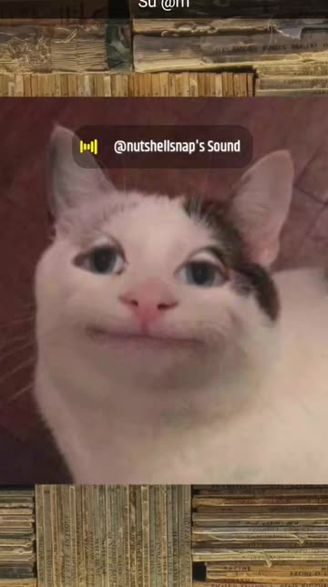 Preview for a Spotlight video that uses the CONFUSED CAT FACE Lens