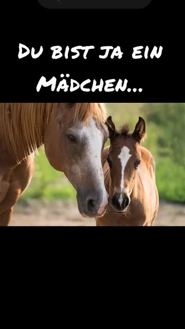 Du bist ja ein Mädchen… | Ja ein Mädchen  | SnapchatのSpotlight