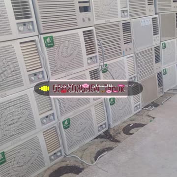 Morshed Alam