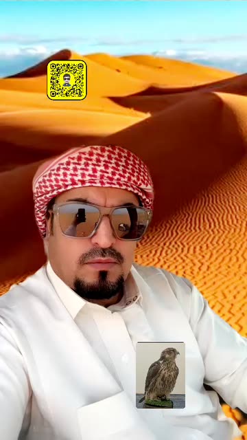 Preview for a Spotlight video that uses the fondo sahara Lens