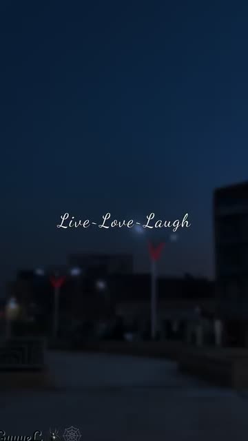 Preview for a Spotlight video that uses the Life-Words Lens