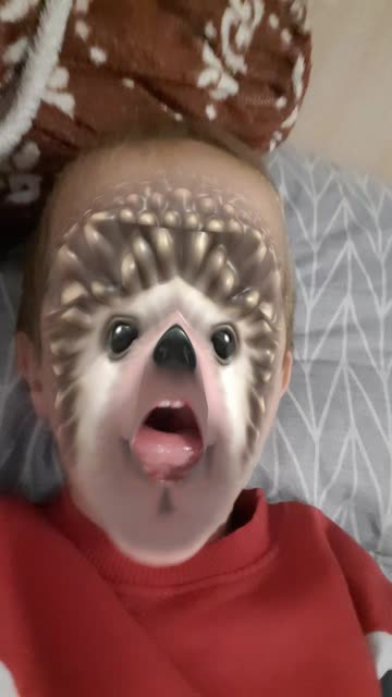 Preview for a Spotlight video that uses the Hedgehog Lens