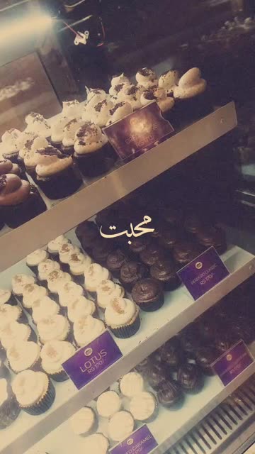 Preview for a Spotlight video that uses the Urdu text Lens