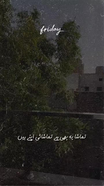 Preview for a Spotlight video that uses the Urdu Shayari R5 Lens