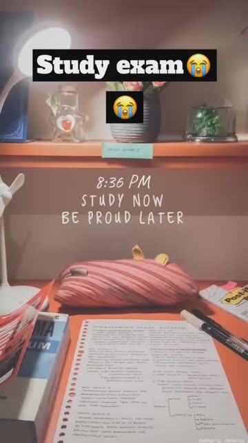 Preview for a Spotlight video that uses the Study Time Lens