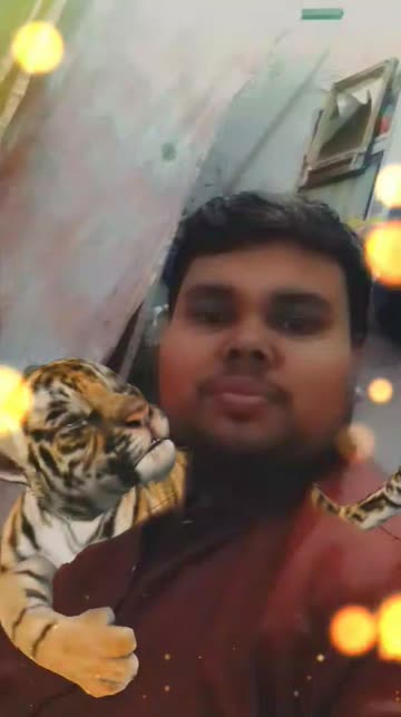 Preview for a Spotlight video that uses the Cute Tiger Lens