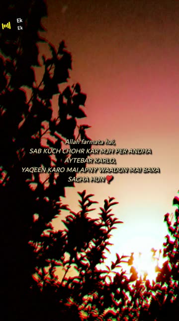 Preview for a Spotlight video that uses the Aesthetic Film Lens
