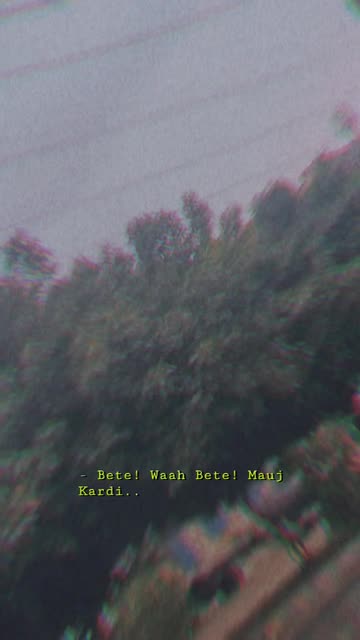 Preview for a Spotlight video that uses the Subtitles Hindi V4 Lens