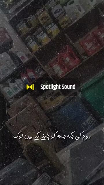 Preview for a Spotlight video that uses the Urdu Shayari R5 Lens