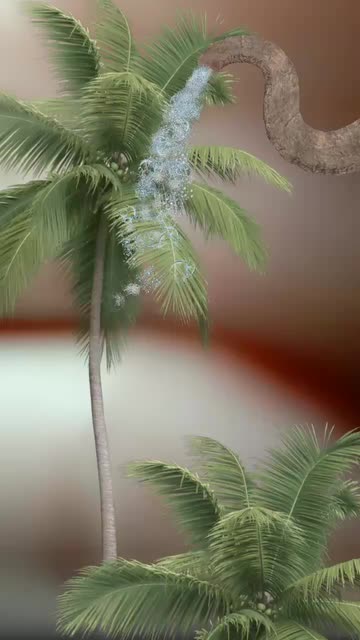 Preview for a Spotlight video that uses the Haathi mere Saathi Lens
