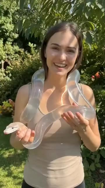 Animal Miracles
