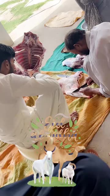 Preview for a Spotlight video that uses the eid ul adha Lens