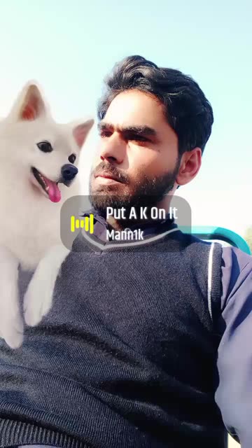 Preview for a Spotlight video that uses the Cutest Dog Lens