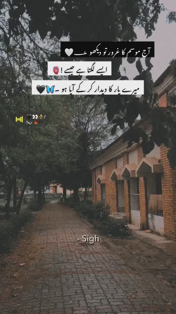 Preview for a Spotlight video that uses the subtitles Lens