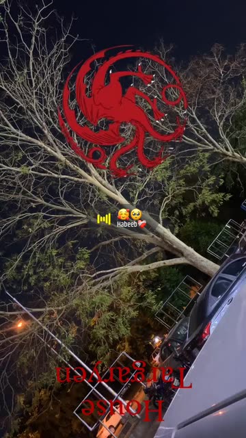Preview for a Spotlight video that uses the Targaryen Lens