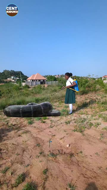 Cent Kiduku