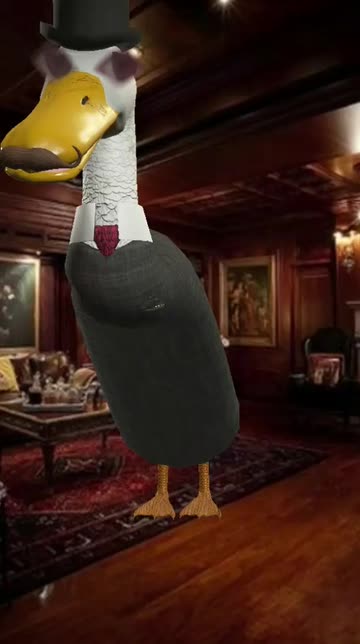 Preview for a Spotlight video that uses the Gentleman Duck Lens