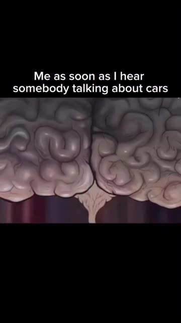 Elite Rides n Drives